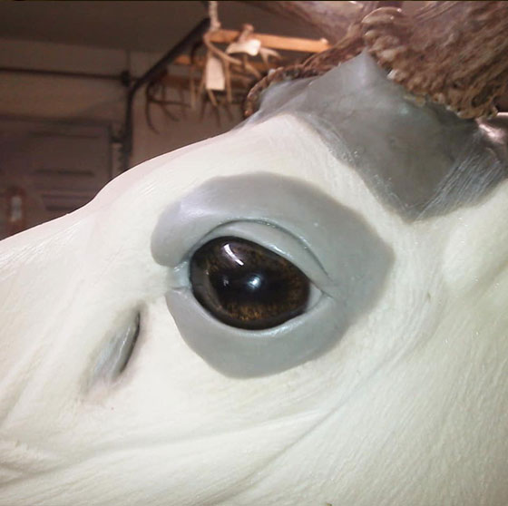 Noble Naturals – Exquisite Handcrafted Skin Care