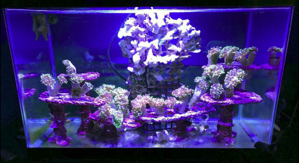 Noble Naturals – Exquisite Handcrafted Skin Care