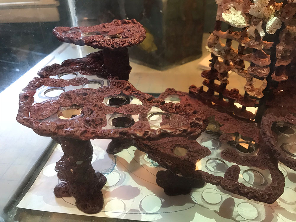 Noble Naturals – Exquisite Handcrafted Skin Care