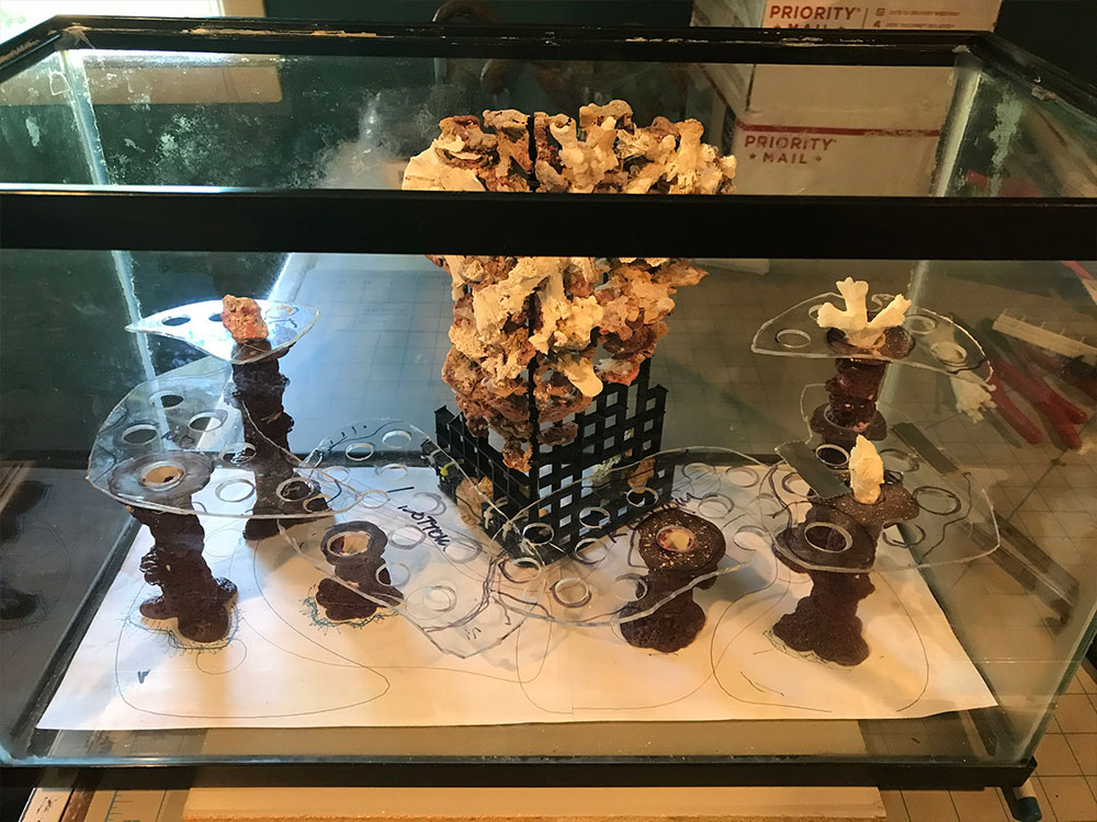 Noble Naturals – Exquisite Handcrafted Skin Care