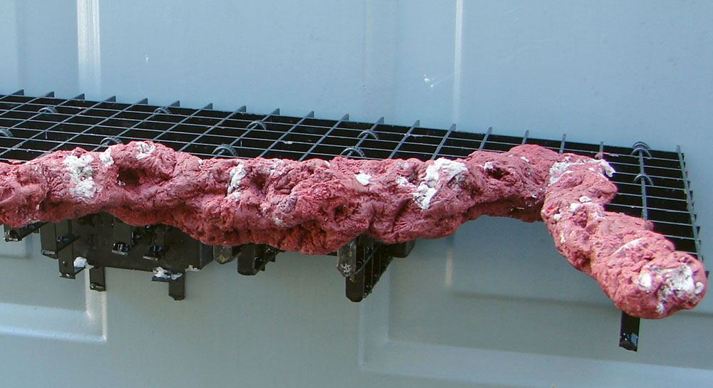 Noble Naturals – Exquisite Handcrafted Skin Care