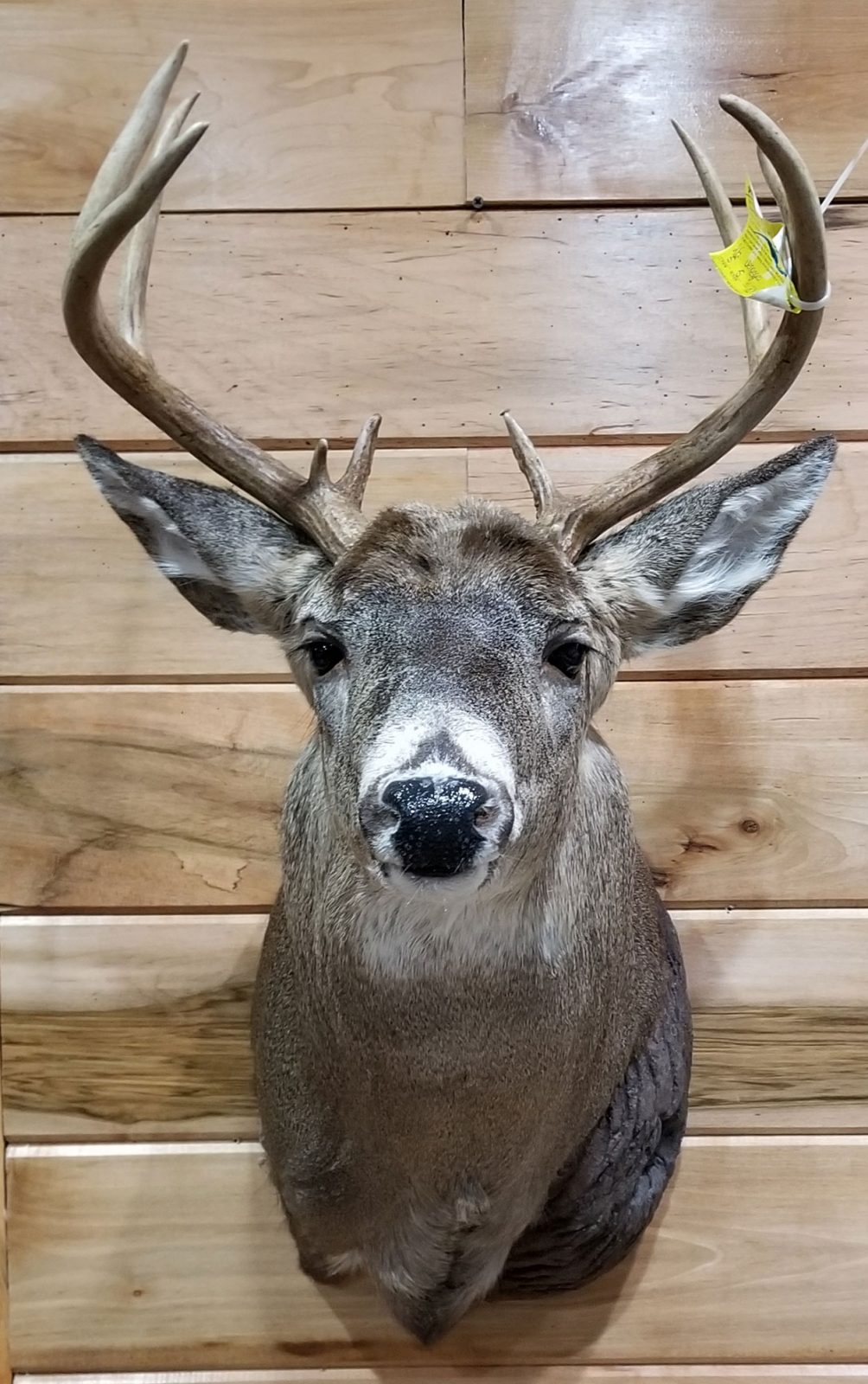 Noble Naturals – Exquisite Handcrafted Skin Care