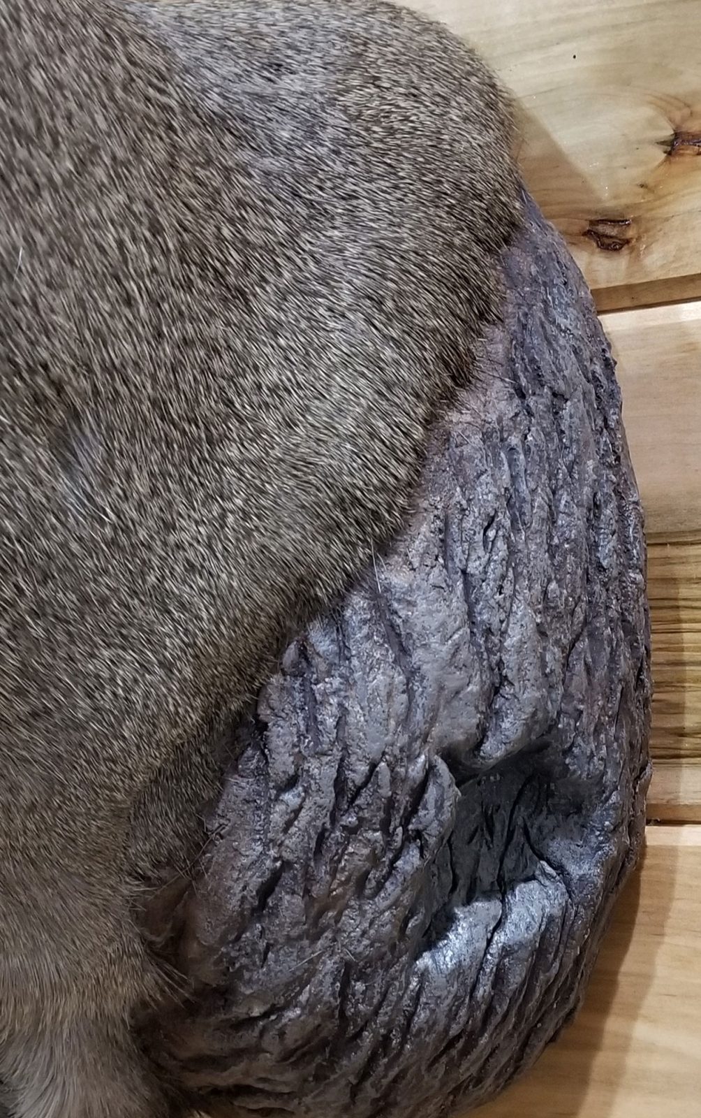 Noble Naturals – Exquisite Handcrafted Skin Care