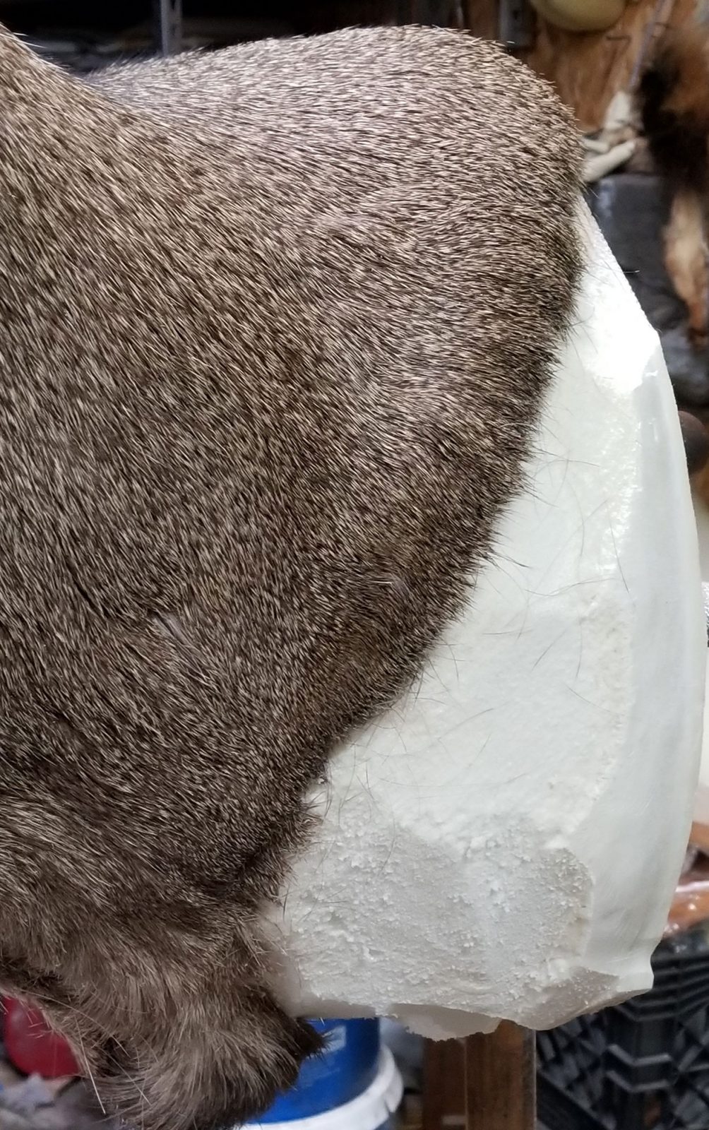 Noble Naturals – Exquisite Handcrafted Skin Care