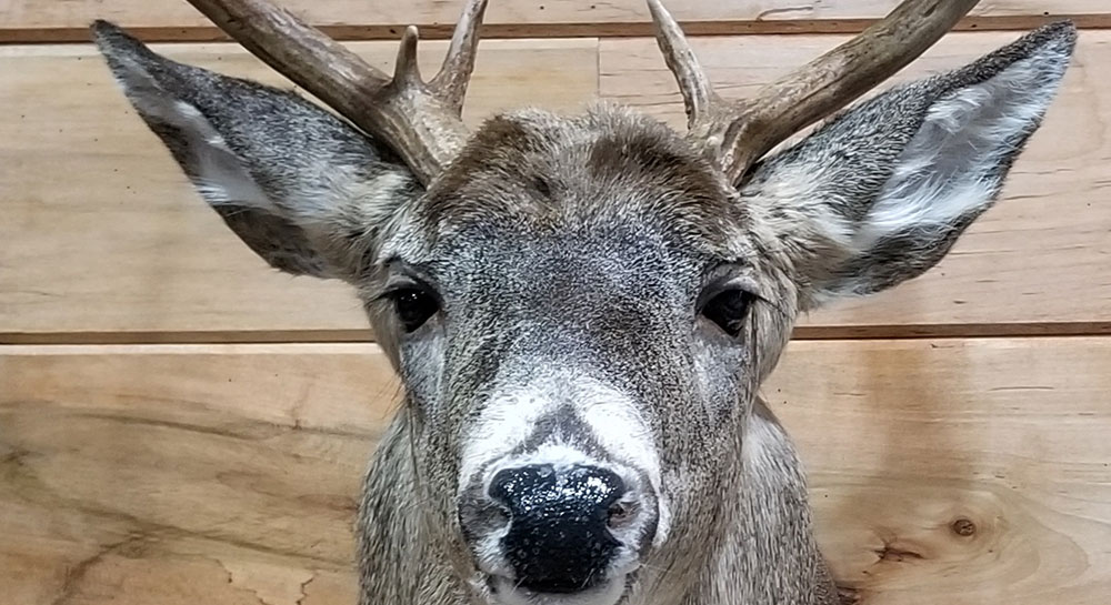 Noble Naturals – Exquisite Handcrafted Skin Care