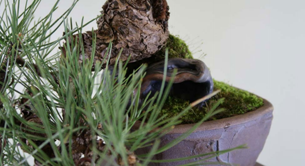 Noble Naturals – Exquisite Handcrafted Skin Care